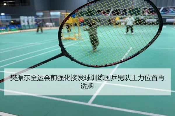 樊振东全运会前强化接发球训练国乒男队主力位置再洗牌