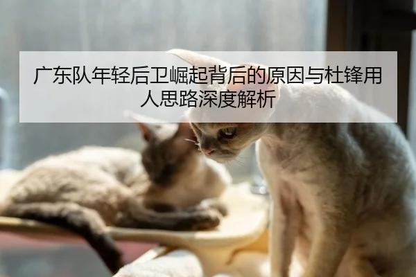 广东队年轻后卫崛起背后的原因与杜锋用人思路深度解析